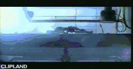animated gif of  - All Is Full Of Love