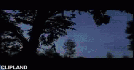 animated gif of  - It's All Coming Back To Me Now